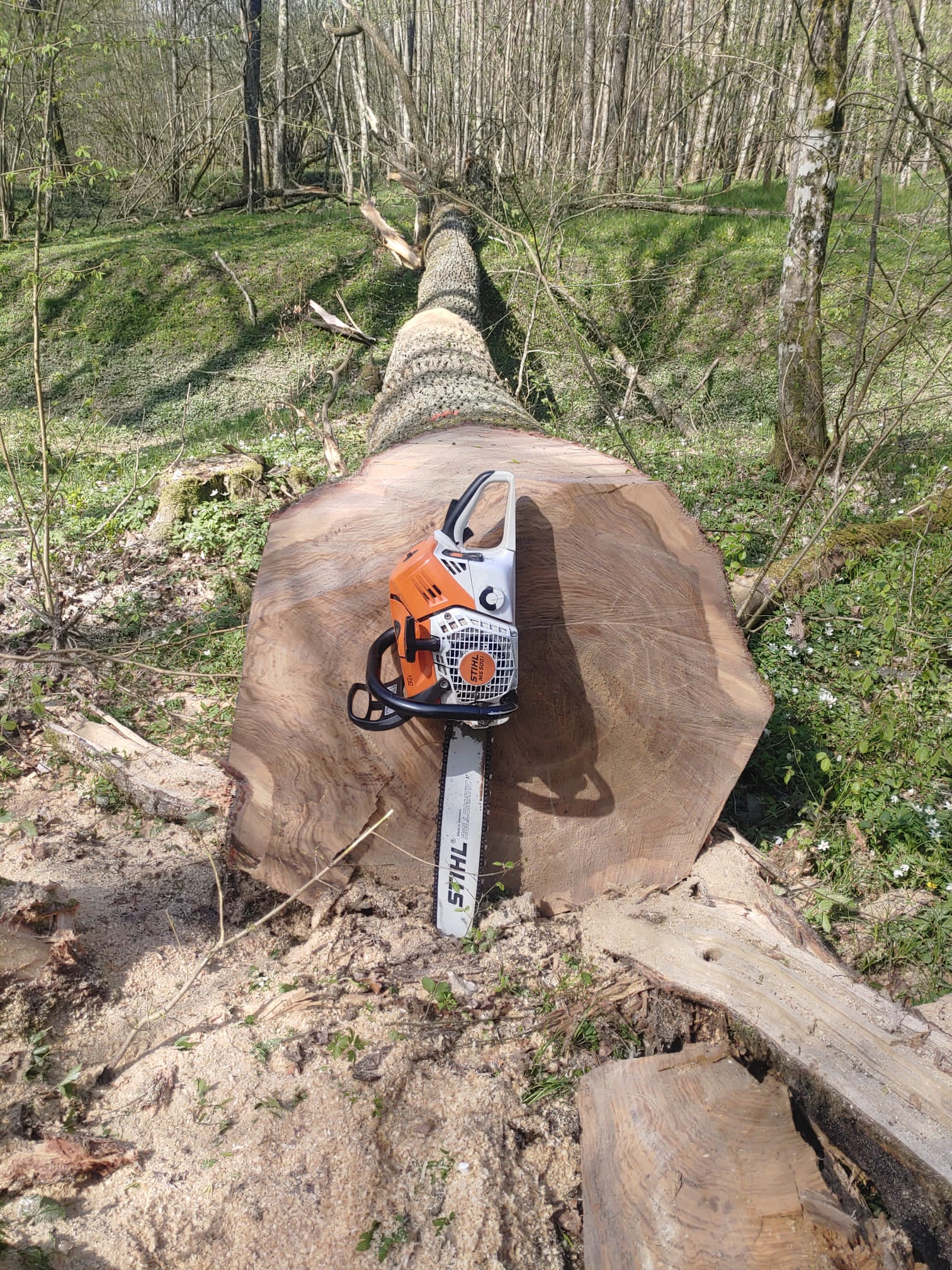 Poljoprivredni obrt i izrada ogrijevnog drva