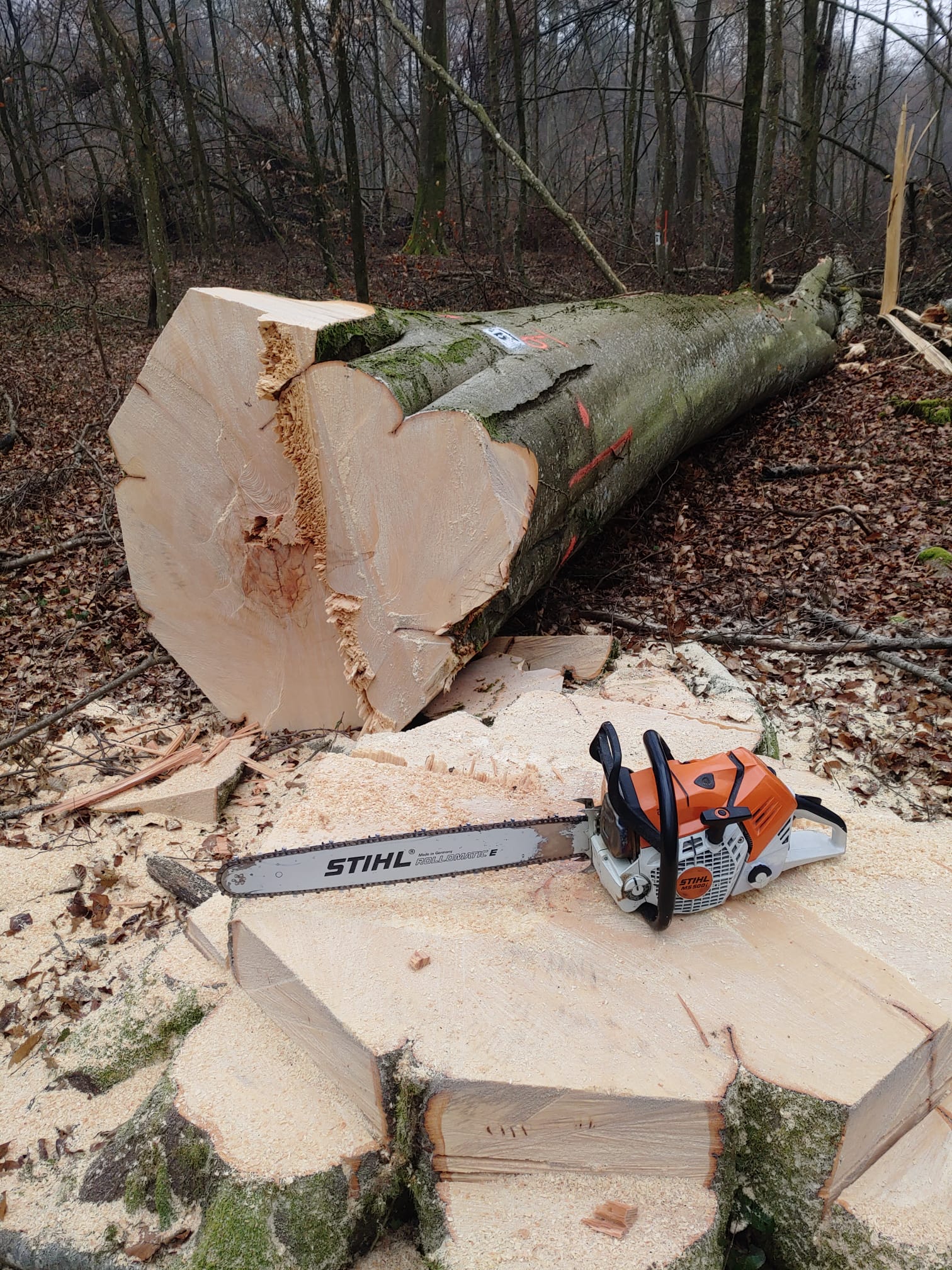 Poljoprivredni obrt i izrada ogrijevnog drva
