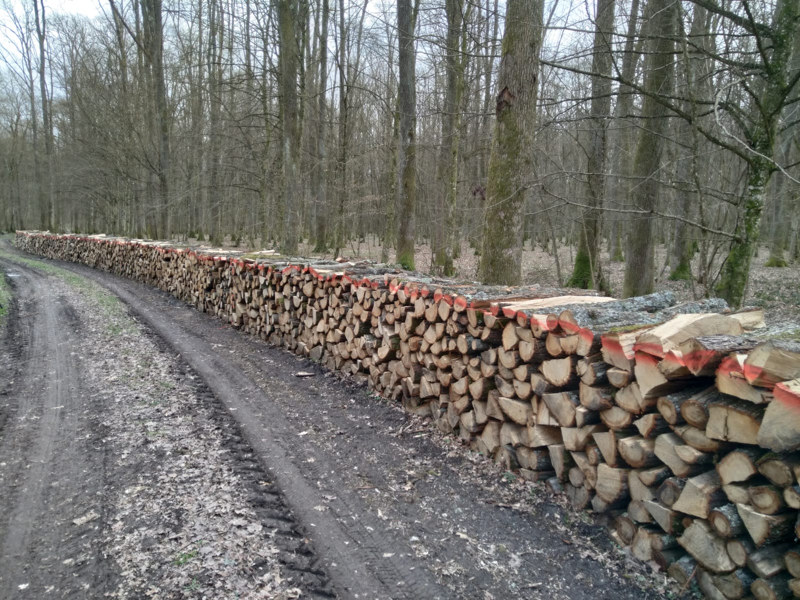 Poljoprivredni obrt i izrada ogrijevnog drva