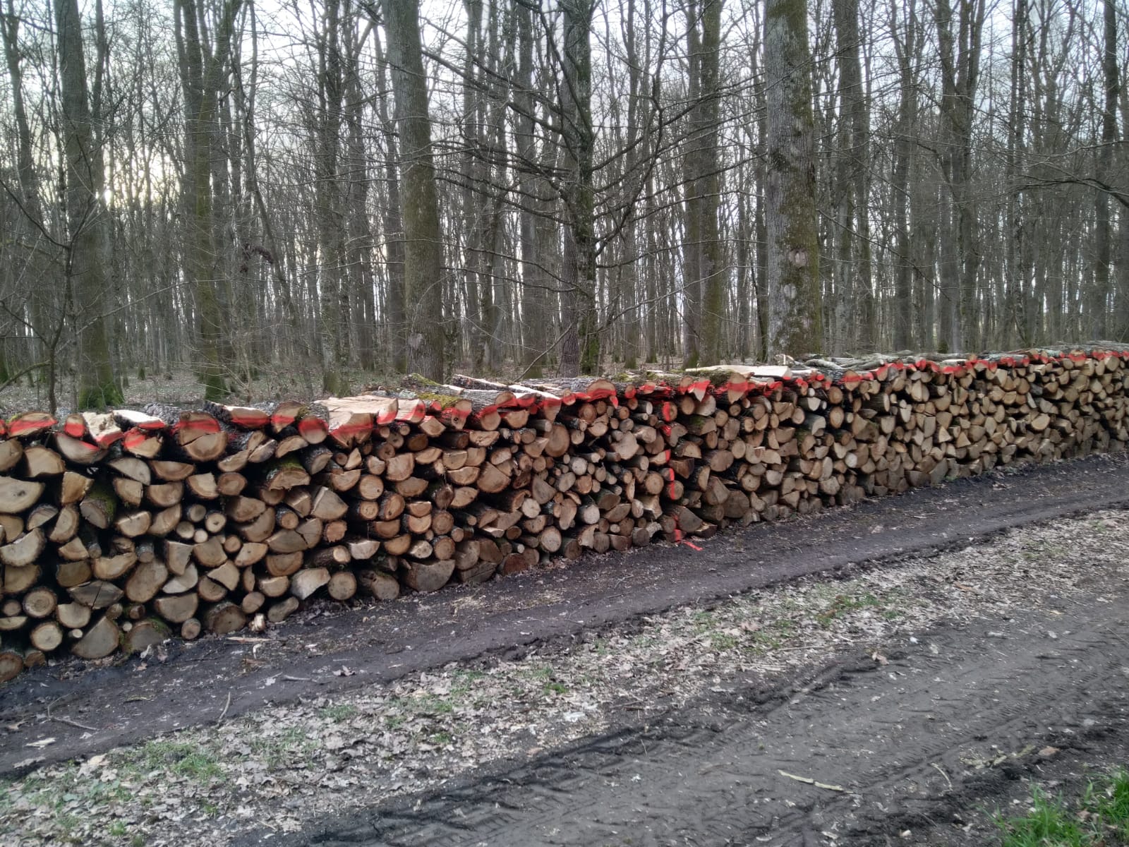 Poljoprivredni obrt i izrada ogrijevnog drva